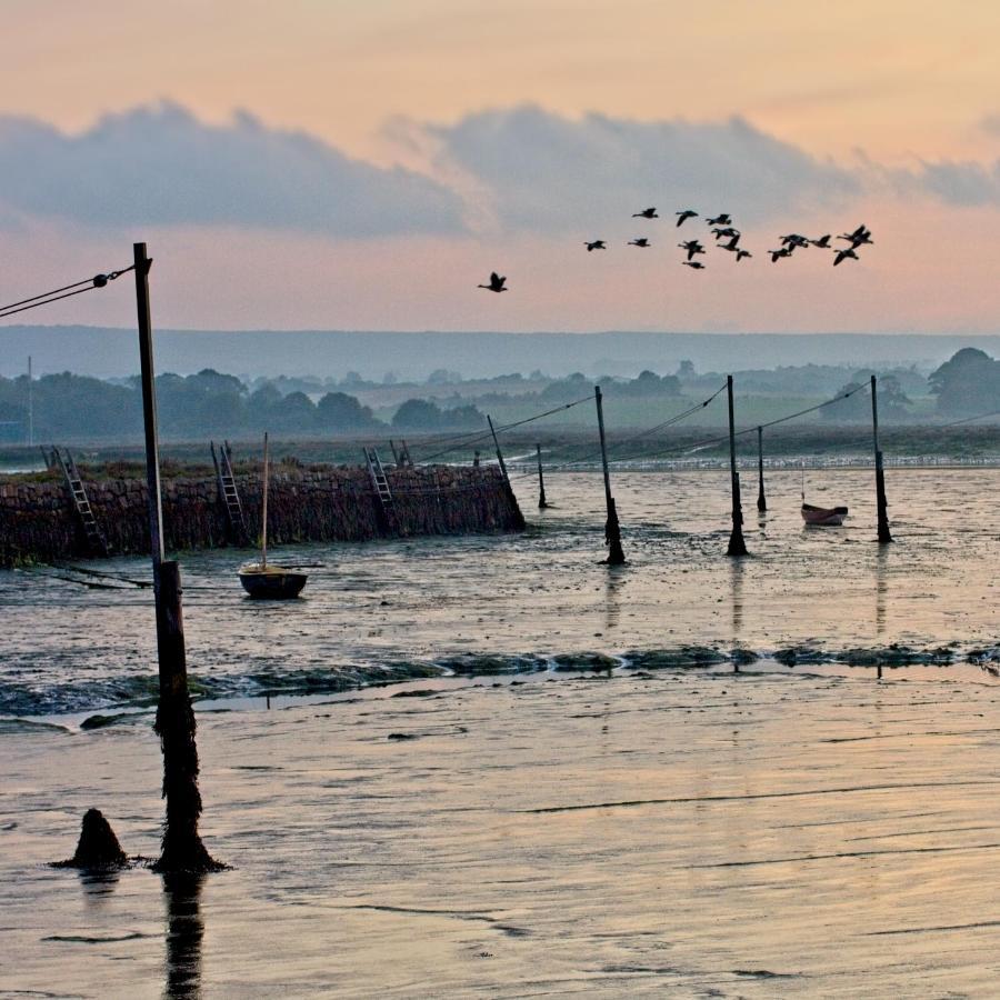 Newtown Isle Of Wight Cabinアパートメント エクステリア 写真